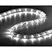 Yescom Delight 50ft LED Rope Light Home Holiday Party Disco Restaurant Cafe Decor 2 Wire 540pcs Bulbs White