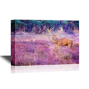 Wild Animal Canvas Wall Art - Male Red Deer (Cervus Elaphus) with Giant Antlers During Mating Season - Gallery Wrap Modern Home Art | Ready to Hang - 12x18 inches