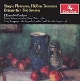 SIMPLE PLEASURES / HIDDEN TREASURES                image