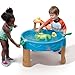 Step2 Duck Pond Water Table