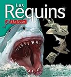 Les requins by 