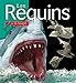 Les requins by 