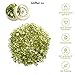 GemMartUSA Loose Gemstone 100+ Carats of Real Natural Peridot Mix Gemstones Lot in Mixed Shapes and Sizes. Grade A Quality, Incredible Wholesale Price. Prepared (PT-60001)