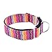 EXPAWLORER Martingale Collars for Dogs, Heavy Duty Nylon Dog Collar Large