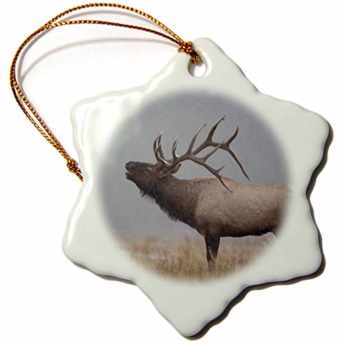 Wildlife Christmas Ornaments