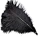 Sowder 5pcs Ostrich Feathers 16-18inch(40-45cm) Home Wedding Decoration(Black) primary