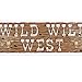 Beistle 57676 Wild Wild West Sign Banner, 5-Feet by 21-Inch primary