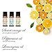 Essential Oils by Mooka, Top 6 100% Pure Therapeutic Grade Aromatherapy Essential Oil Set & Kit for Diffusers (Lavender, Tea Tree, Eucalyptus, Lemongrass, Sweet Orange, Peppermint) w/Free E-Book