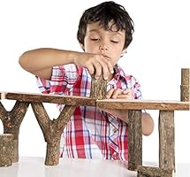 guidecraft branch blocks