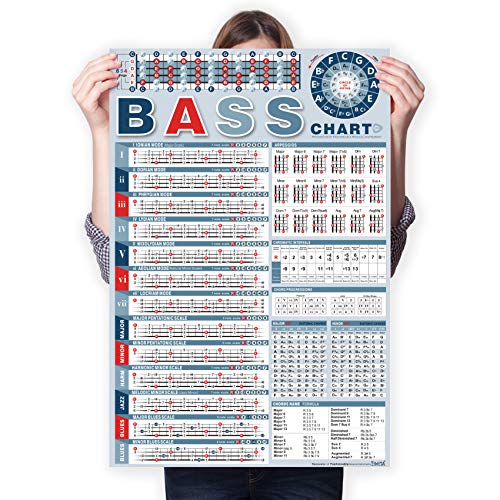 Standard Bass Notes Bass Note Chart of Scale Chords | Bass Reference Poster for Beginners ...