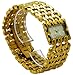 Roberto Cavalli Women's R7253124017 Gold/Silver Stainless Steel Watch