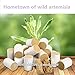Abbott 10-Years Purity 60:1 Ratio 54 Rolls Sticks Pure Moxibustion + 1 Copper Portable Smokeless Mugwort Moxibustion Moxa Box Round Shape Burner Set X'Mas Gift/Dad's/Mom's Gift