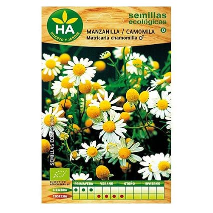 SEMILLAS ECOLÓGICAS MANZANILLA CAMOMILA HA: Amazon.es: Belleza