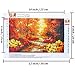 Aneco 4 Pack DIY 5D Diamond Painting Kit Full Diamond Painting Four Seasons Landscape Rhinestone Embroidery Painting for Home Wall Decoration