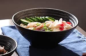 FAFZ Tazón de Cereales, Tazón de Ramen Vajilla para el hogar de ...