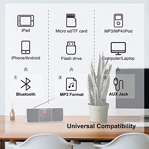 PRUNUS J288 Portable Radio AM FM Radio with Bluetooth Speaker, Sleep