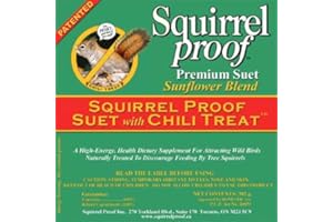 Squirrel Proof High Energy Suet