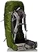 Osprey Men's Aether 70 Backpack, Bonsai Green, Medium