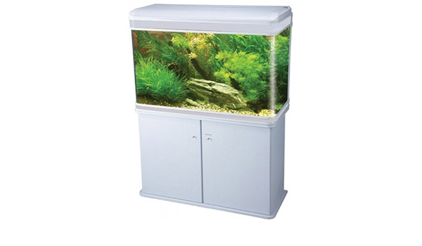 white fish tank