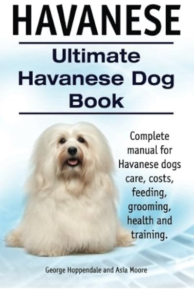 havanese puppy care
