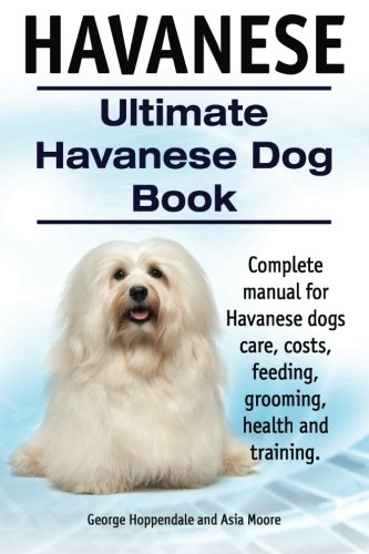 best puppy food for havanese