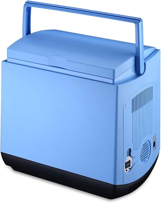 portable car cooler box
