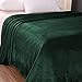 Exclusivo Mezcla Fleece Blanket Queen Size for Bed, Super Soft and Warm, All Season Use, Cozy, Plush, Lightweight, 90x90 Inches, Forest Green