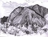 Cook's Glazier Sketch