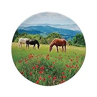 Ylljy00 Animal Decor 10" Dinner Plate,Various Kinds of Horses Eating Grass in The Field with Mountain Landscape Rural Scene Print Ceramic Decorative Plates,Dining Table Tabletop Home Decor,Multi