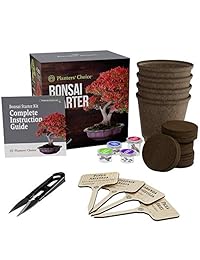 Planters' Choice Equipo de bonsai para principiantes.Equipo completo para cultivar 4 bonsai desde la semilla, con guía completa y varilla de bambú guía. Idea única para regalar.