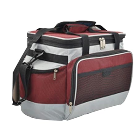 CZBXO - Mini Nevera para Coche, 13 L, pequeña residencia, tensión ...