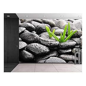 Rain Drops Over Black Rocks and Little Green Plants - Wall Mural, Removable Sticker, Home Decor - 66x96 inches