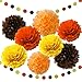 Fall Birthday Party Decorations/Fall Bridal Shower Decorations/Thanksgiving Party Decorations/Yellow Orange Brown Pumpkin Color Tissue Pom Pom for/Autumn Party Decorations/Fall Wedding Decor