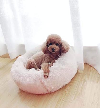 Amazon Com Henghuamy Durable Non Slip Dog Bed Cat S Nest Small