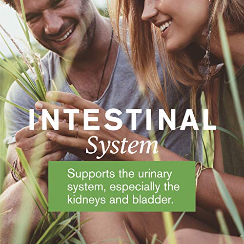 image for Nature's Sunshine JP-X, 100 Capsules, Kosher | Supports The Urinary Sy