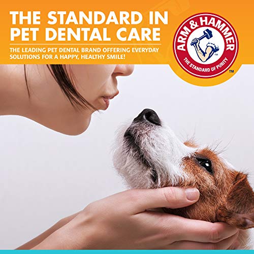 Arm & Hammer for Pets Dental Enzymatic Toothpaste for Dogs No More