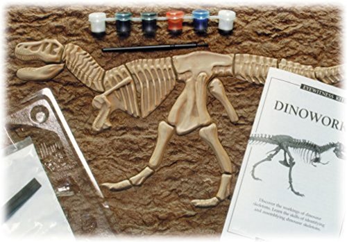 Eyewitness Kits PerfectCast Dinoworks 19" Tyrannosaurus Rex Casting Kit