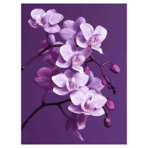 Inspiring, Cute and Trendy Purple Wall Art Home Wall Art Decor