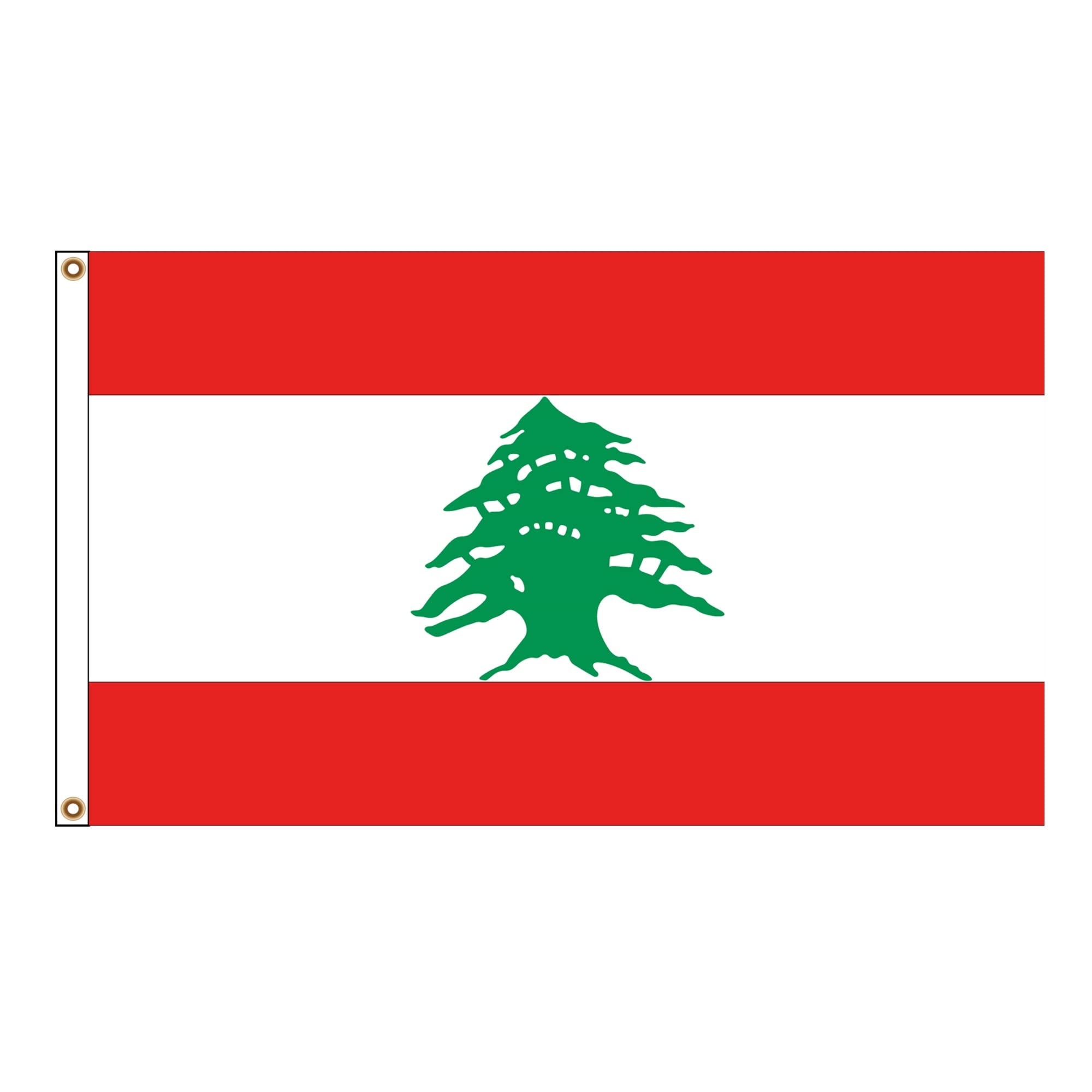 PinkDisplay Aisa flag (Lebanon)3x5ft(90x150cm) eyelets and double stitches