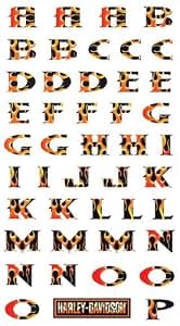 Amazon.com: Harley Davidson Motorcyle Flame Alphabet and Number ...