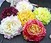RoyaLily 4.7'' Poney Flower Wedding Hair Accessories Festival Hair Clips and Pin Party Brooch (Plum)