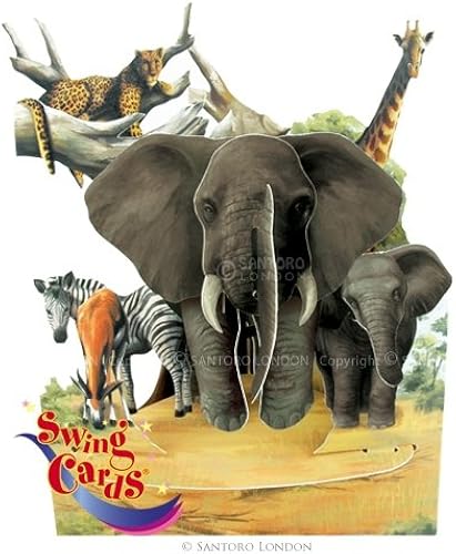 Download Carte Safari Swing - Cadeau Maestro PDF
