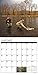 Angler's 2017 Wall Calendar