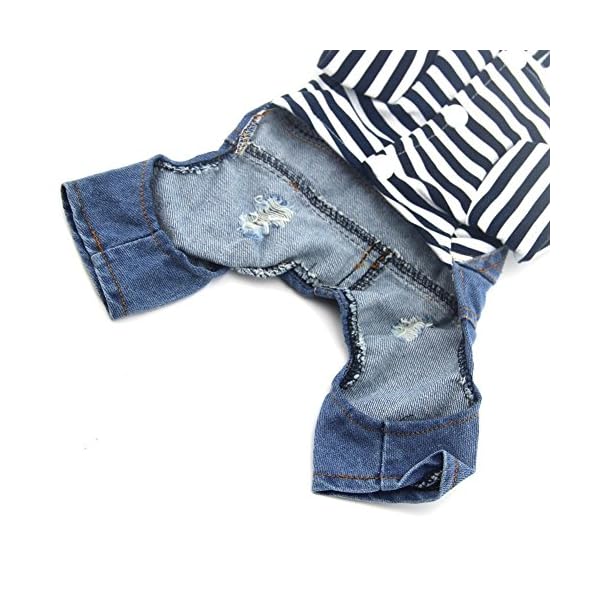 Denim Vest Outfit For Small Dogs - Image 4