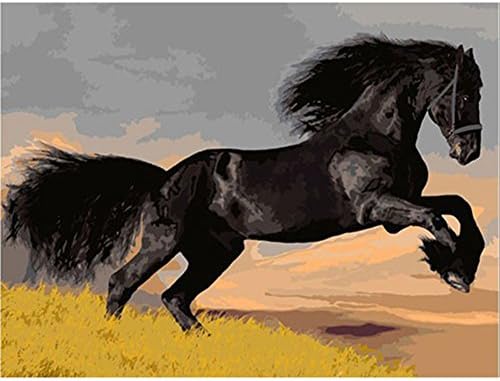 Wivilly Children's DIY Oil Painting By Numbers Kits,Black Horse 12 X 16 inch,Acrylic Colorful Drawing Educational Toys for Kids to Draw on Canvas