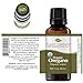 Plant Therapy Oregano Organic Essential Oil | 100% Pure, USDA Certified Organic, Undiluted, Natural Aromatherapy, Therapeutic Grade | 30 milliliter (1 ounce)