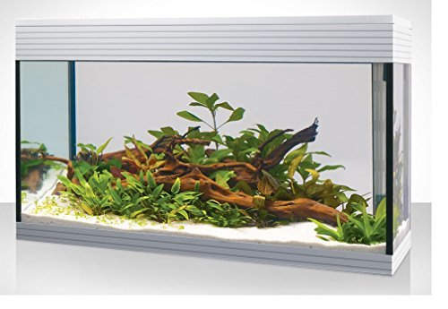 title=Askoll acquario KIT L PURE WHITE