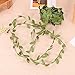 Olive Green Leaves Leaf Trim Ribbon -21.8 Yards, DIY Leaf Headband,DIY Leaf Napkin Rings, Leaf Balloon Tail, DIY Leaf Crown, Leaves Garland, Ribbon Craft Sewing DIY Wedding Bouquet