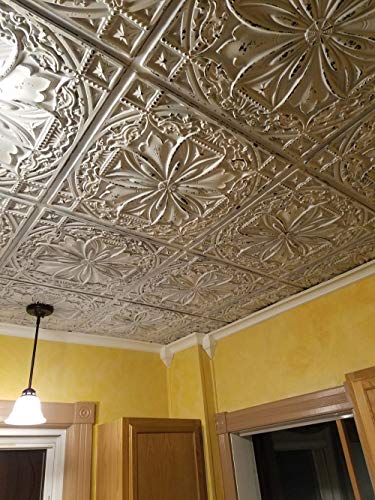 From Plain To Beautiful In Hours DCT10obw-24x24 Ceiling Tile, Old Black White