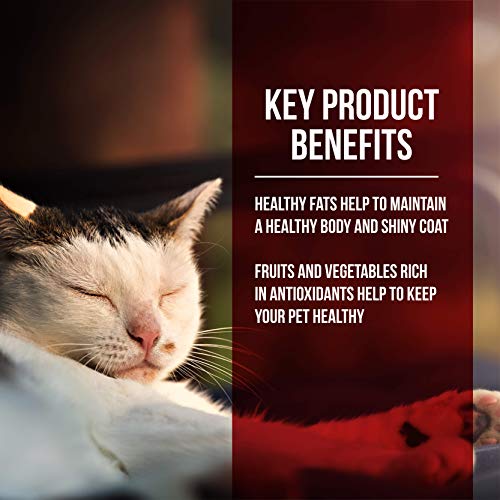 Fussie Cat Market Fresh Chicken & Turkey Meal Formula GrainFree Dry Cat Food 10lb Pricepulse